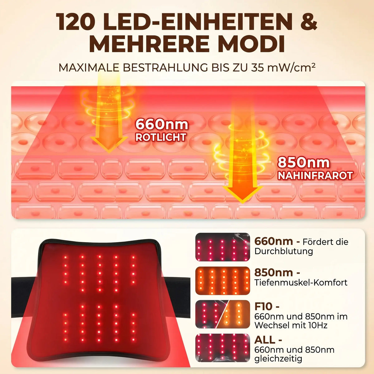 Rückenmeister Rotlicht-Therapie Gürtel